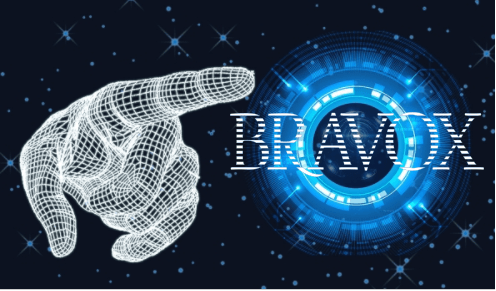 Bravox-AI ICT Solution Provider BRAVOX