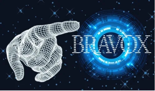 Bravox Team